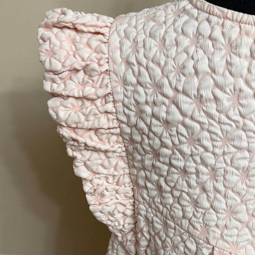 Pale Pink Textured Ruffled Sleeve Dress - Picture 10 of 16